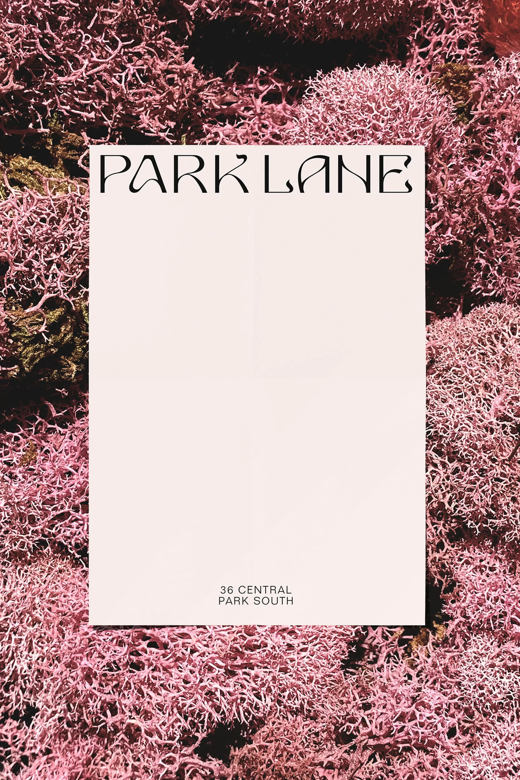 Mother Design’s eccentric identity for Park Lane hotel sets the standard for NYC’s uptown luxury