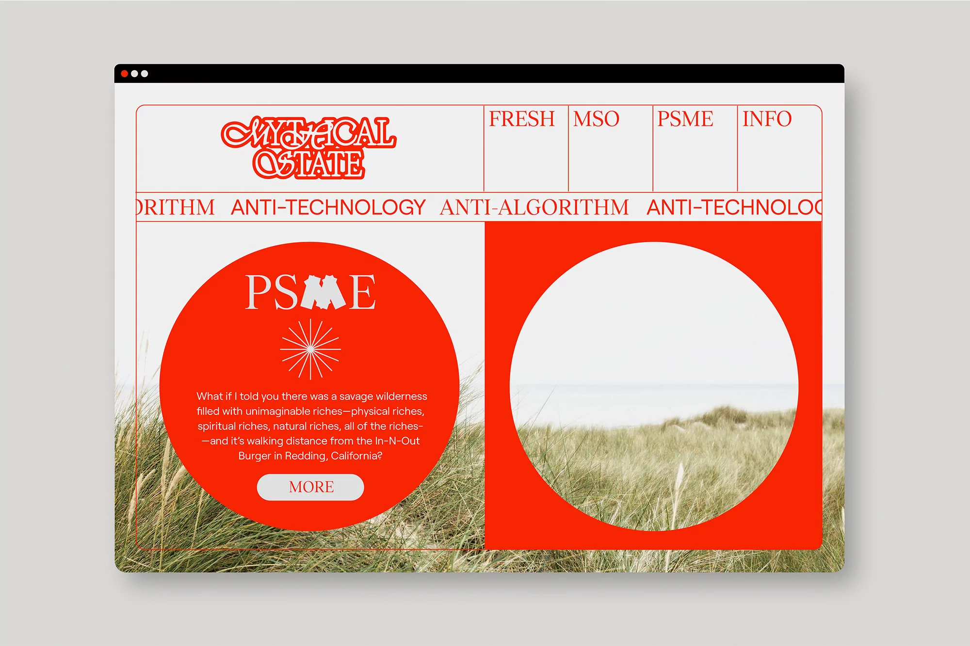 Sasyk Mihal creates a multi-faceted, nature-inspired identity and website for Mythical State Of