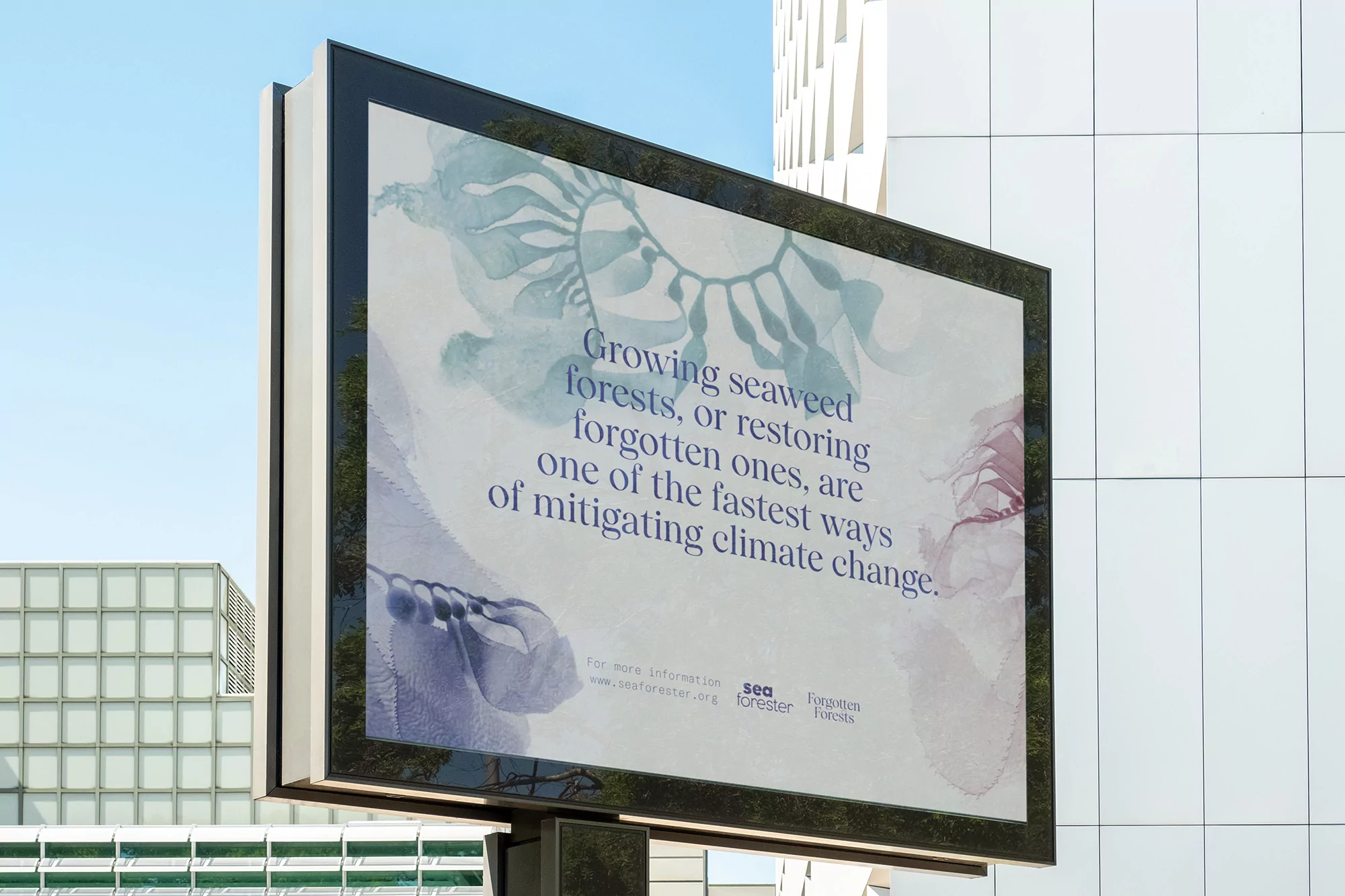 How & How’s Forgotten Forests campaign seeks to raise awareness of seaweed forest reduction