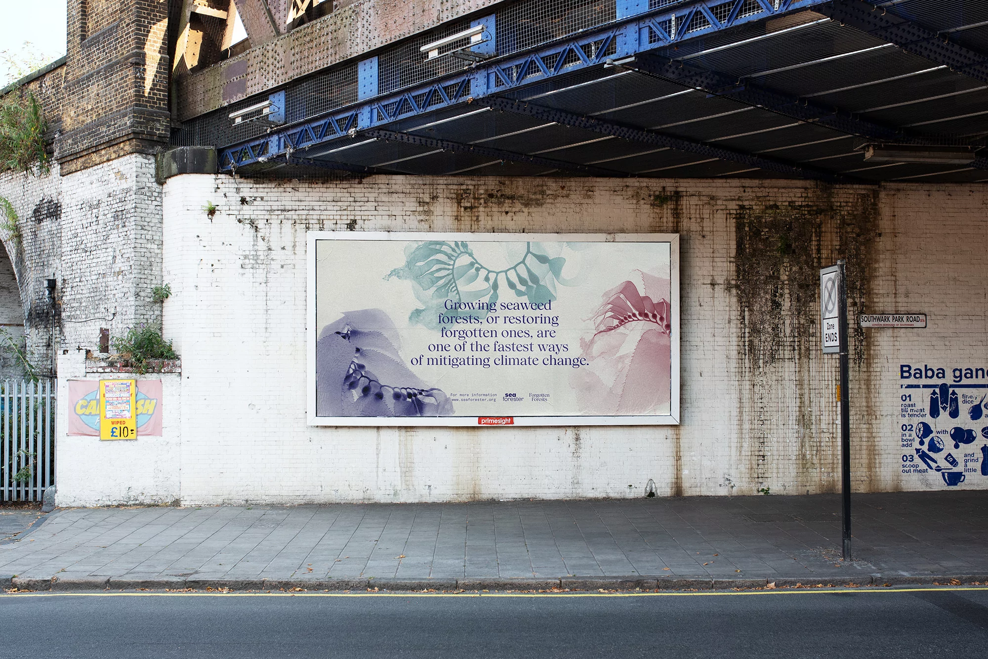 How & How’s Forgotten Forests campaign seeks to raise awareness of seaweed forest reduction