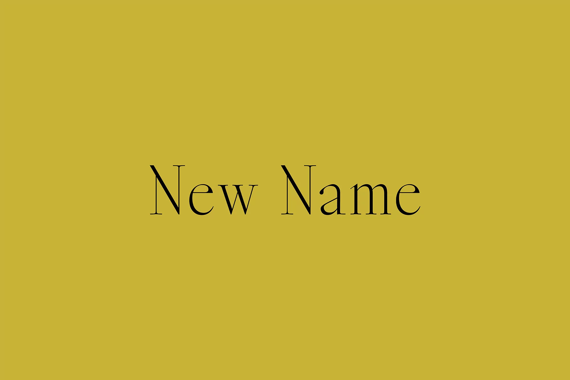 A Practice for Everyday Life develop a characterful combination of copy and colour for New Name