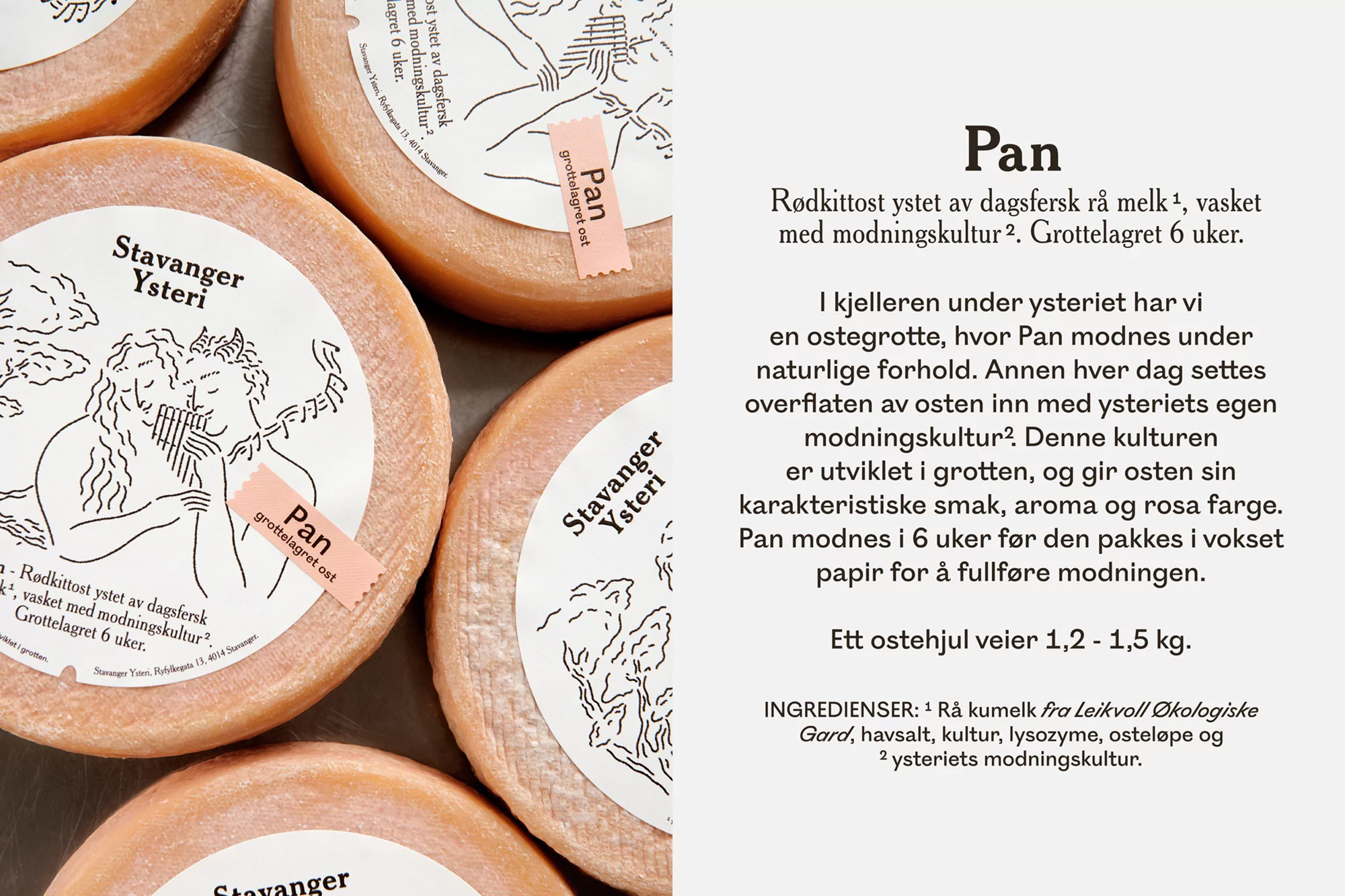 Olssøn Barbieri’s charming identity for Stavanger Ysteri juggles nature, mythology and philosophy
