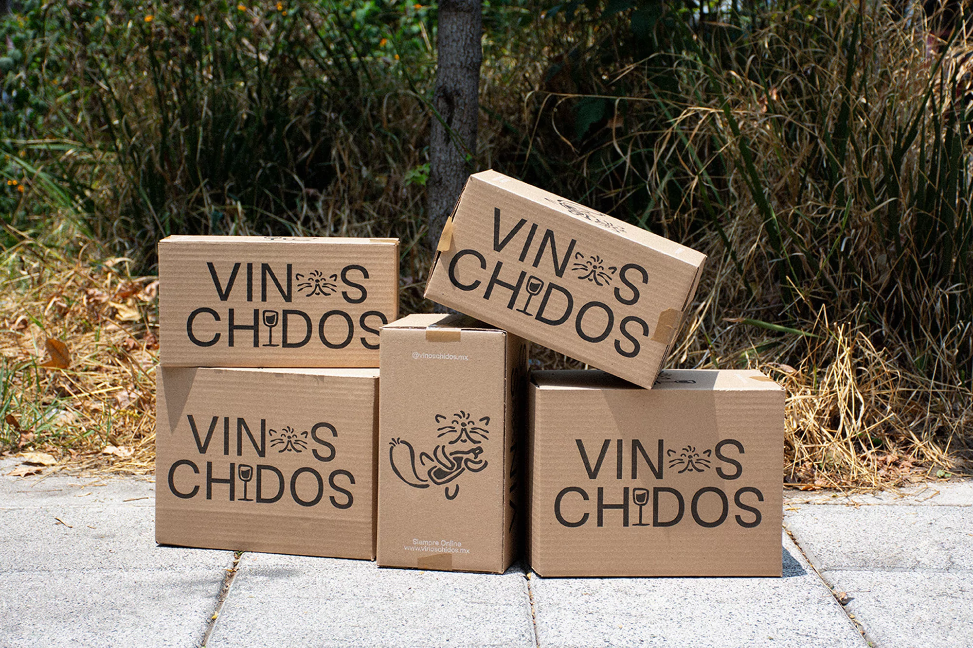 FAENA’s identity for Vinos Chidos revolves around the exploits of a drunken Persian cat