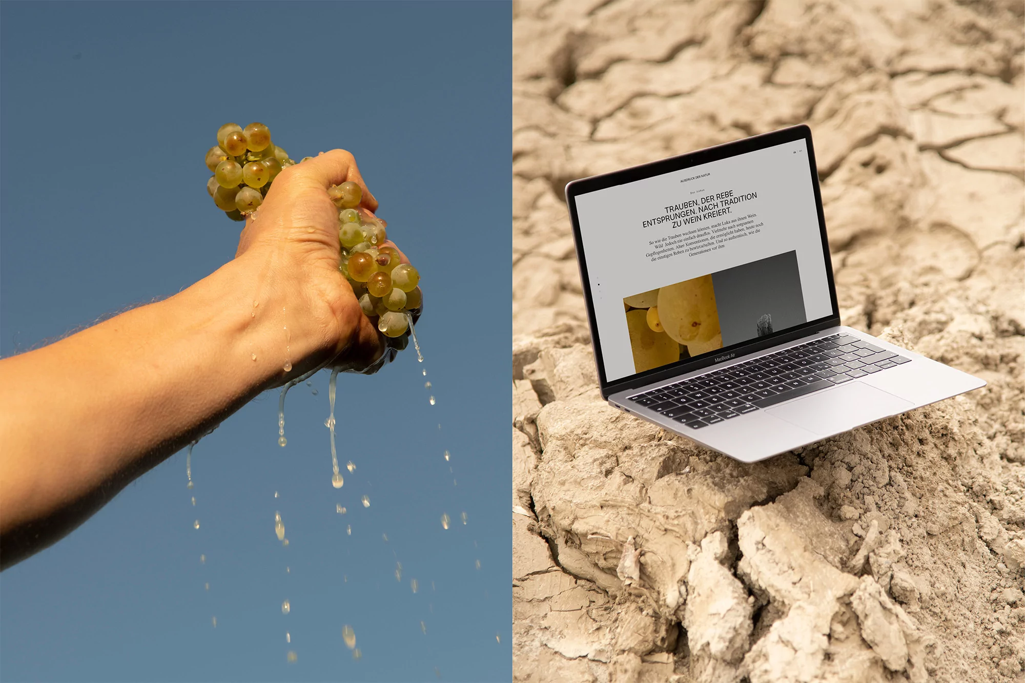 Kevin Nowak, Sebastian Hofer and Max Karall brand an Austrian wine, using ink made from its own grapes