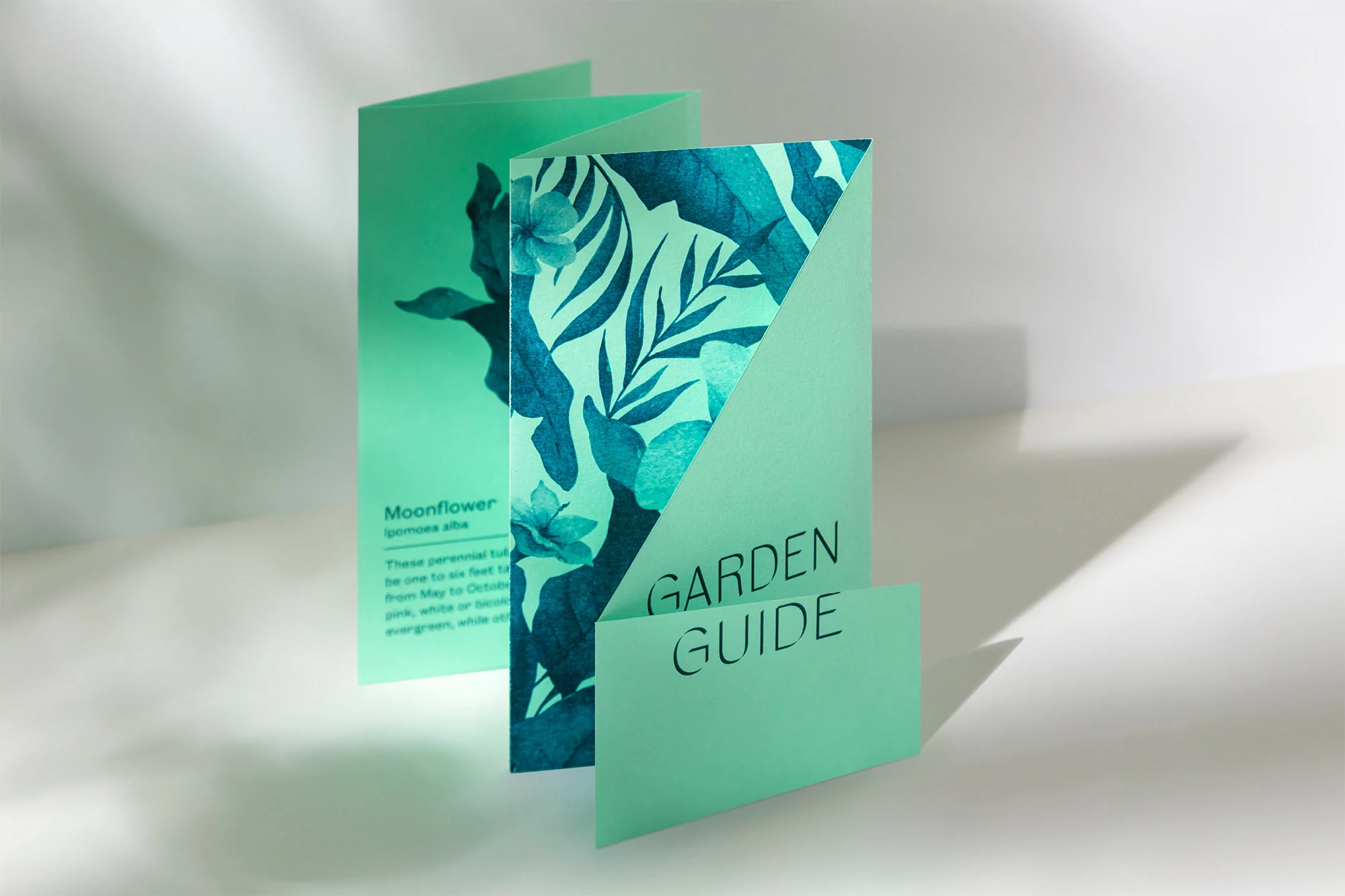 dn&co. gets London's Museum of the Home ready for its reopening with a shadow-inspired rebrand