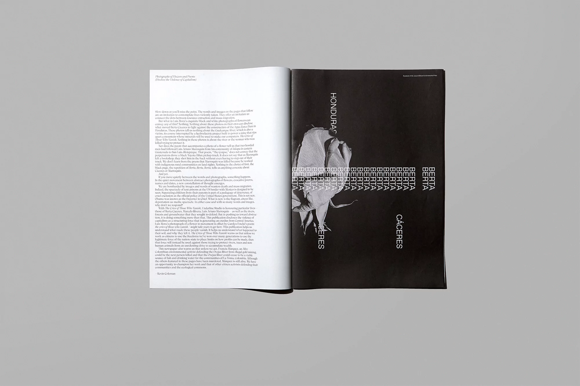 Underline Studio honours people that were violently attacked while defending the natural environment