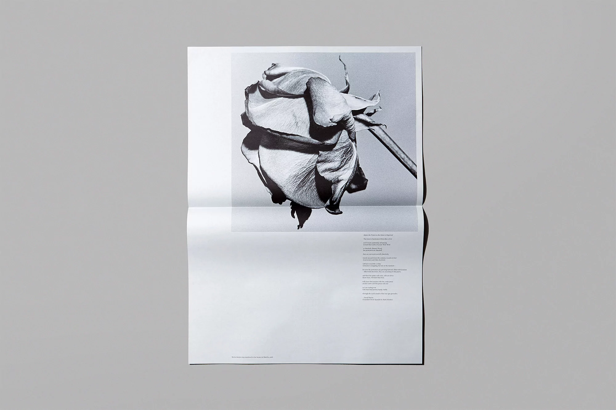 Underline Studio honours people that were violently attacked while defending the natural environment