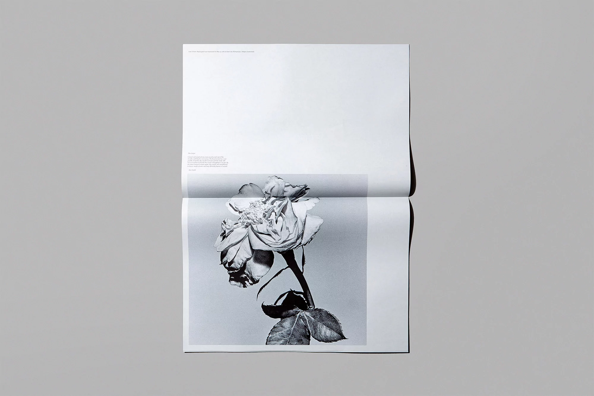 Underline Studio honours people that were violently attacked while defending the natural environment