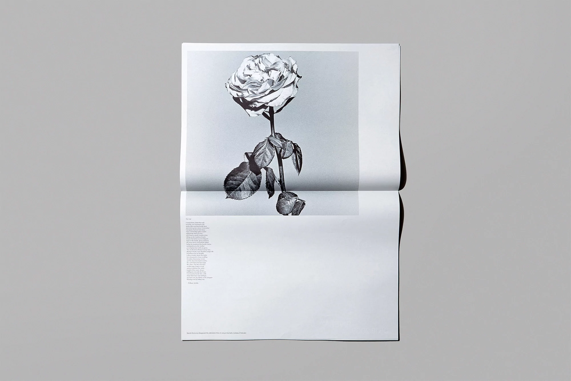 Underline Studio honours people that were violently attacked while defending the natural environment