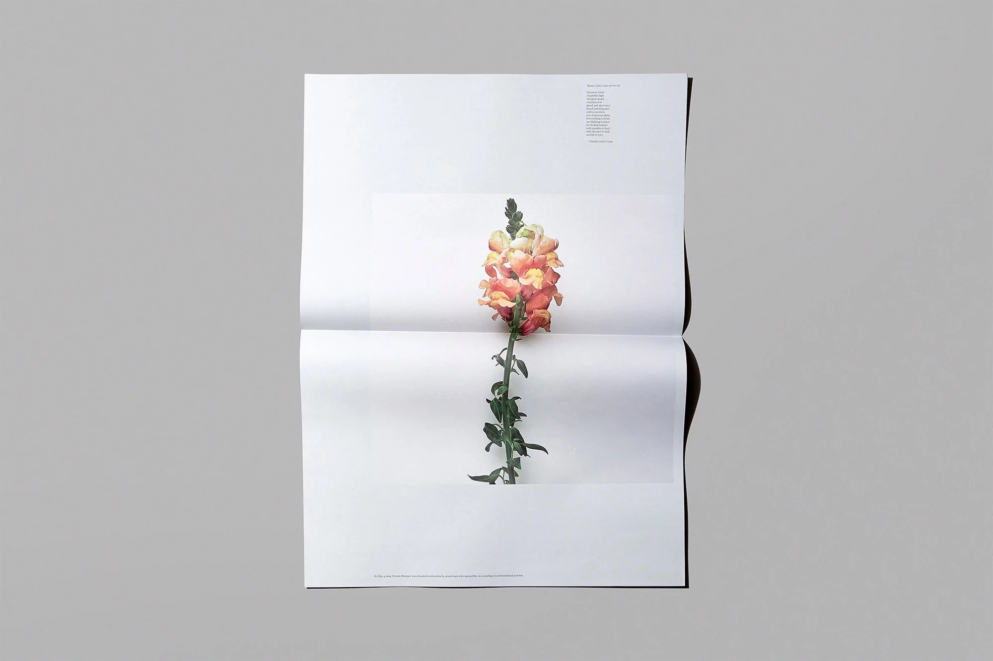 Underline Studio honours people that were violently attacked while defending the natural environment