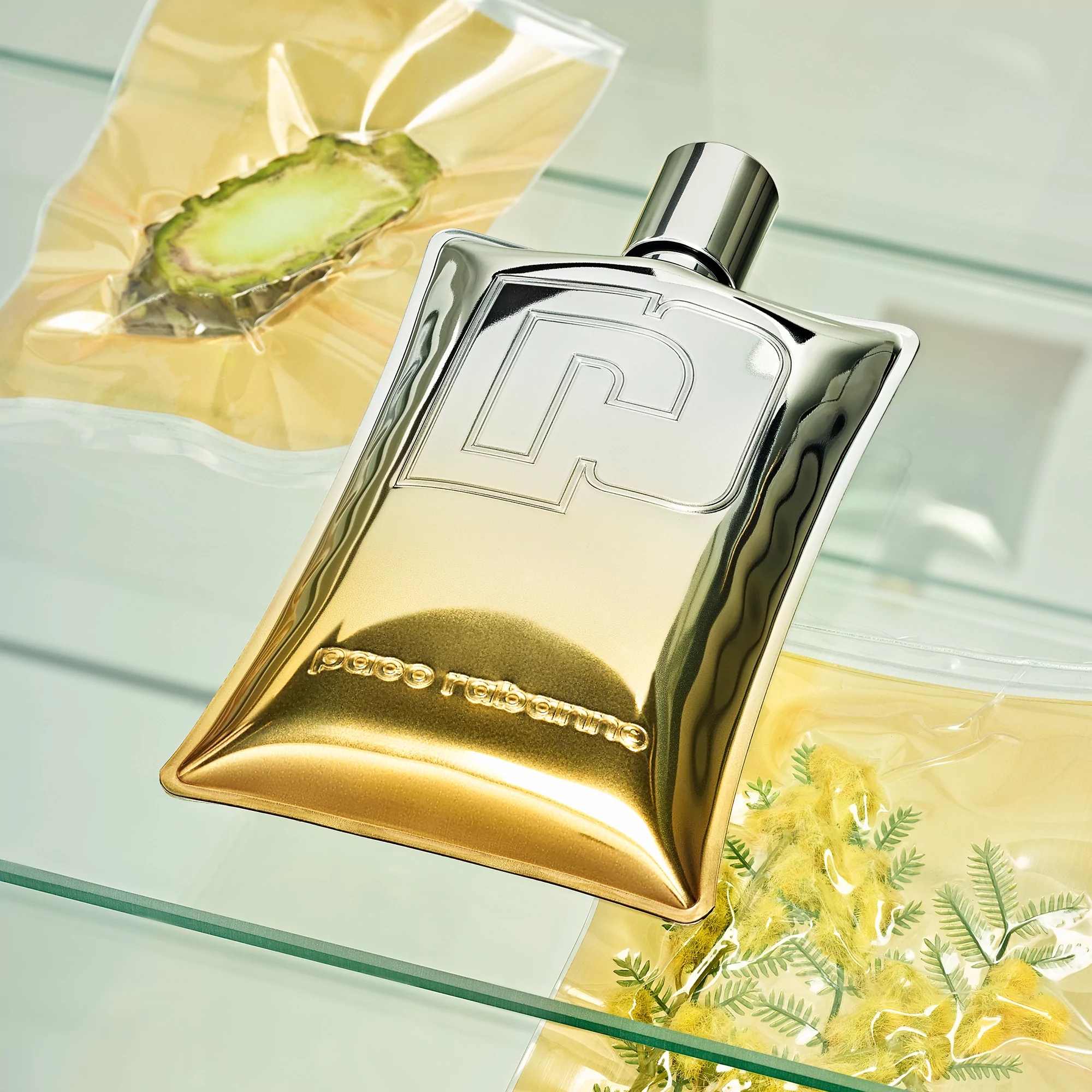 Pacollection by Zak Group