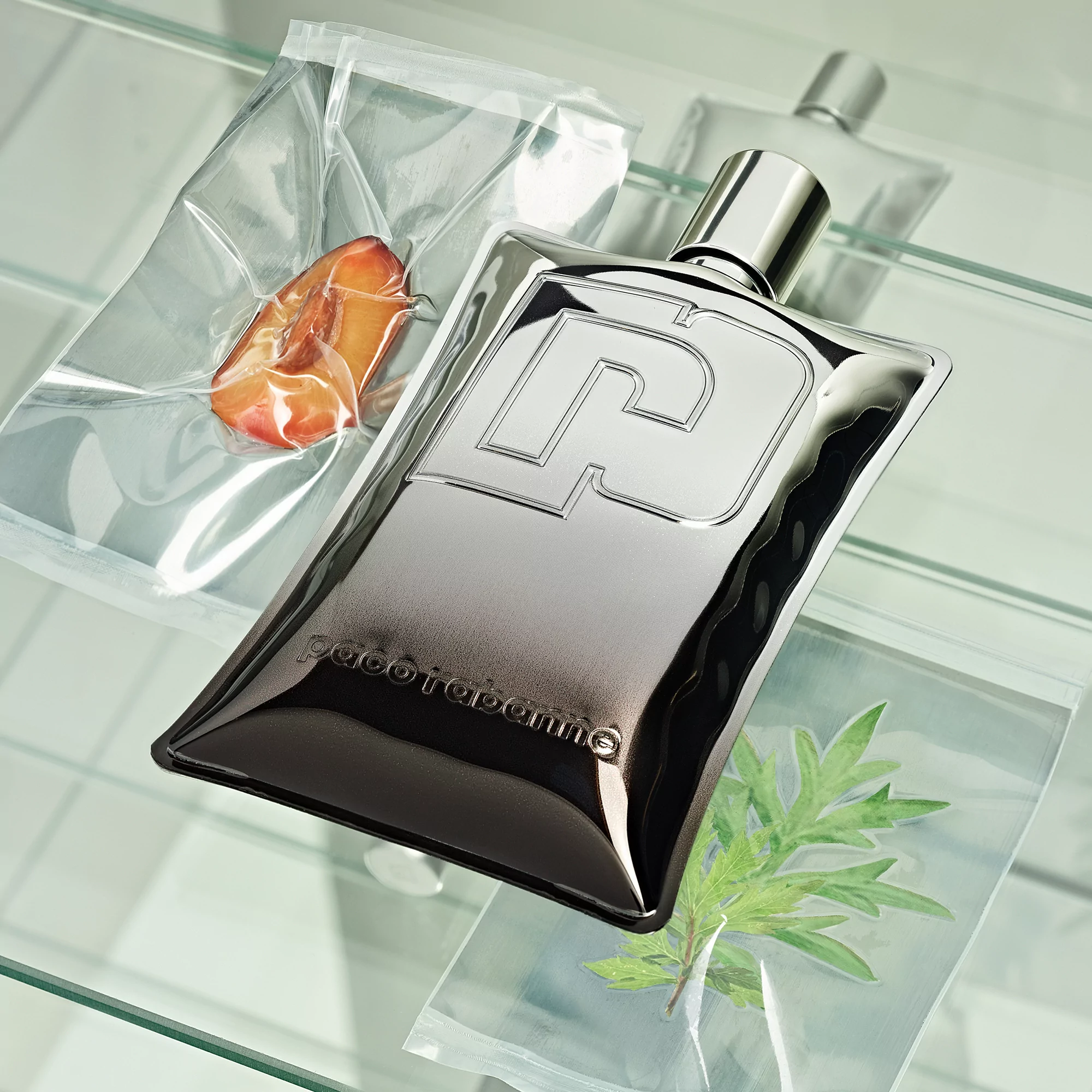 Pacollection by Zak Group