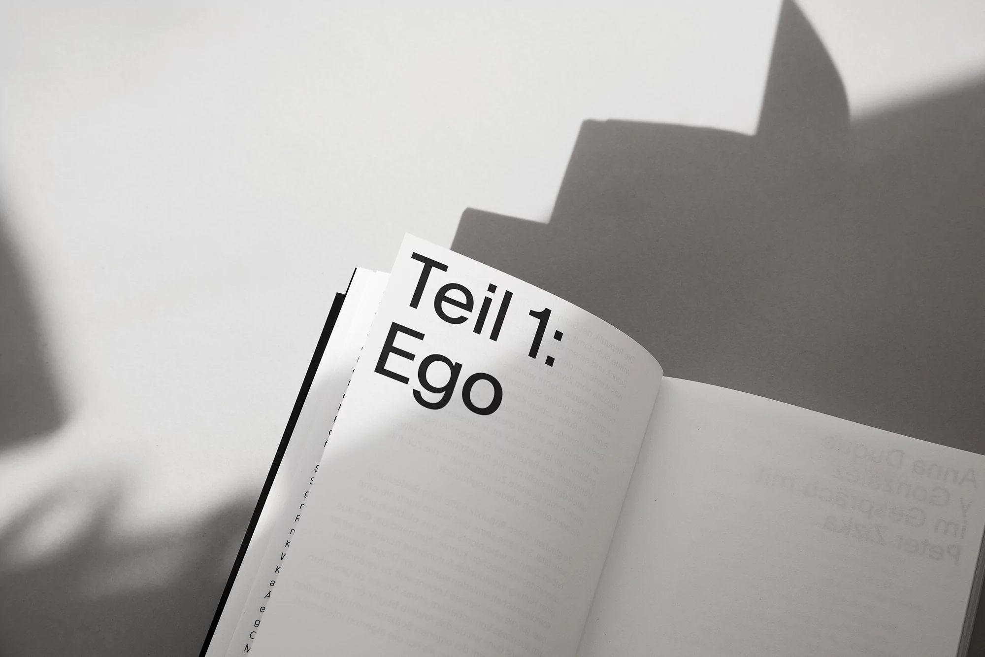 Peter Zizka: Egokollektiv by Ken Hegemann