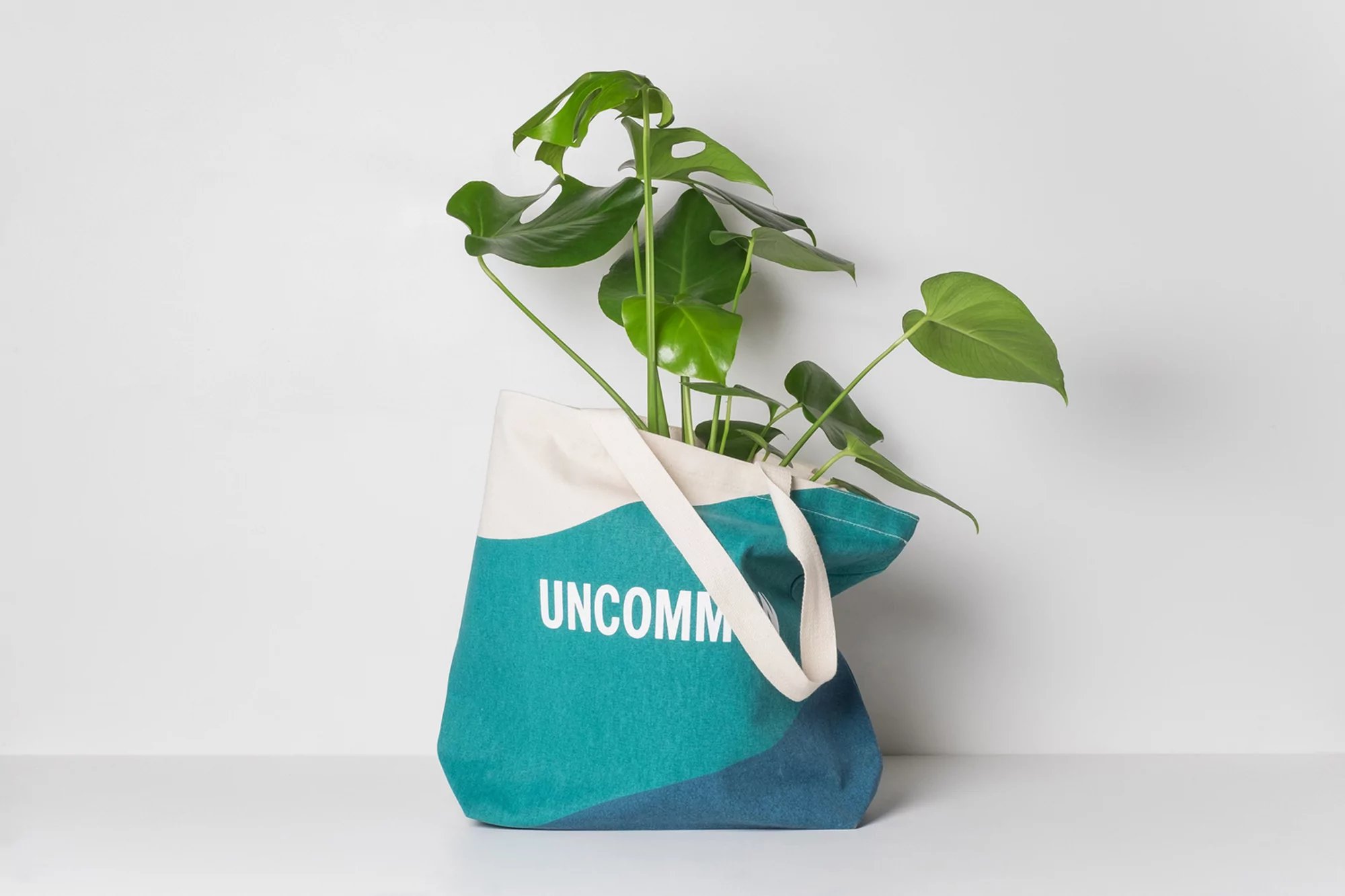 Uncommon by Studio Makgill