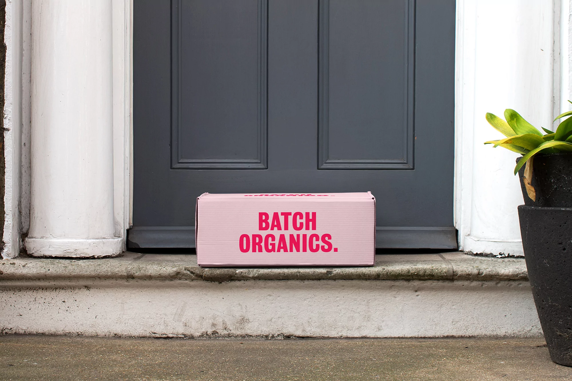 Batch Organics by Ragged Edge
