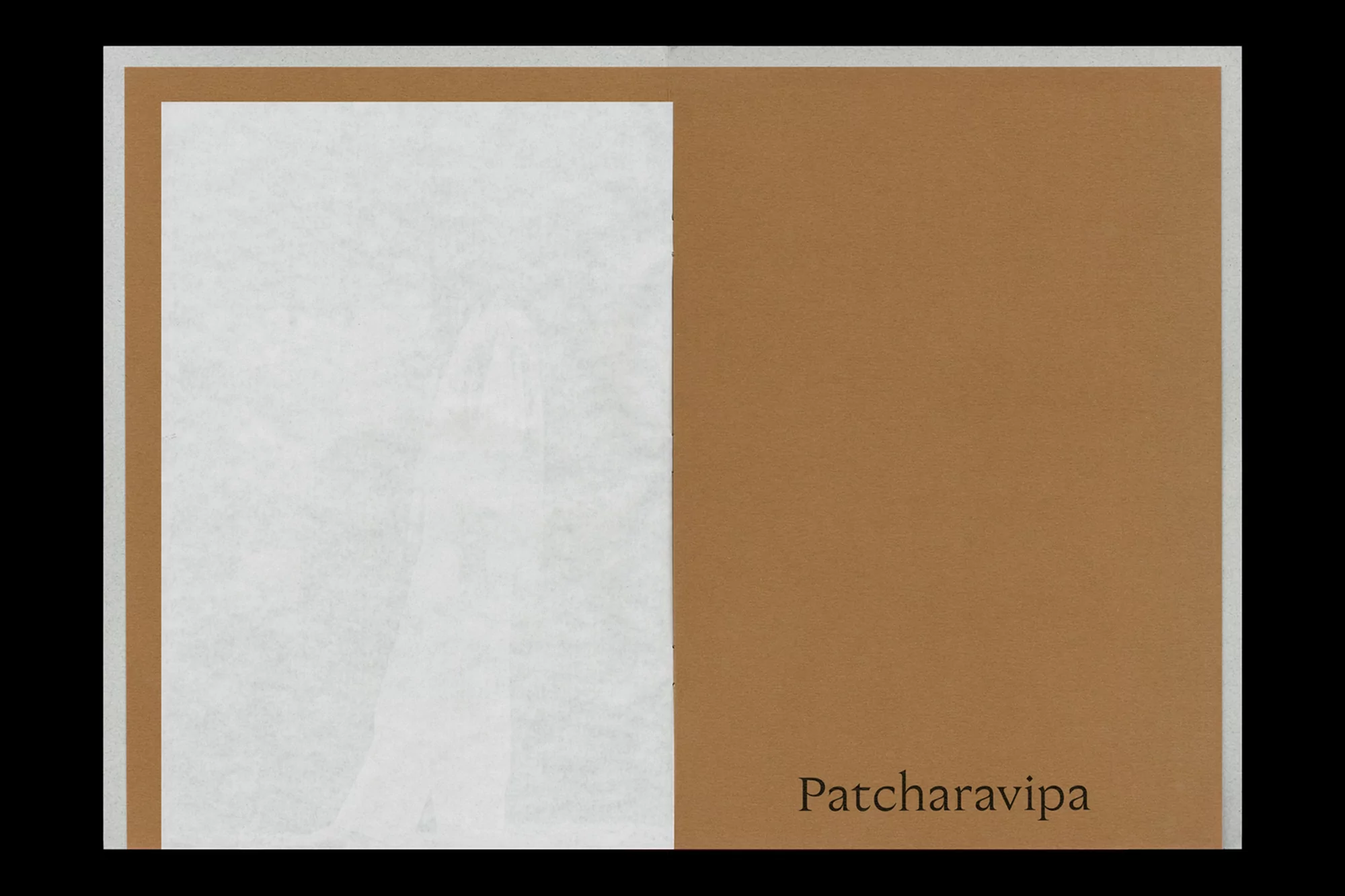 Patcharavipa by OK-RM